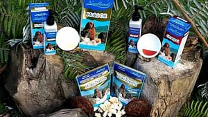 Newflands Hoki Natural and sustainable for pets