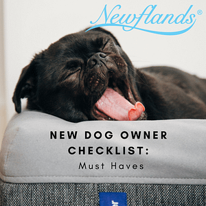 newflands-new-dog-owner-checklist